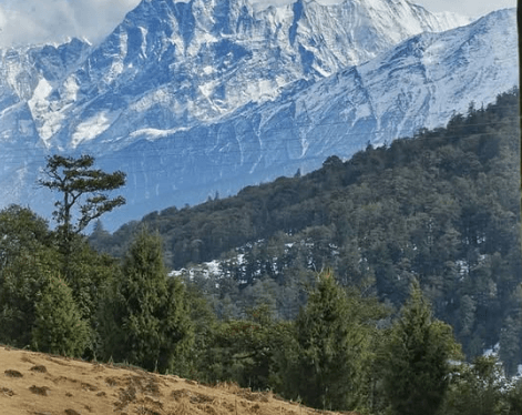 नए साल पर सैलानियों के स्वागत में जुटी उत्तराखंड सरकार