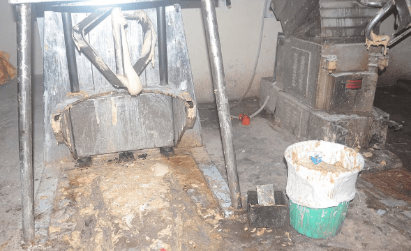ब्रेड बनाते हुए ब्लास्ट, 14 मजदूर झुलसे, पांच की हालत गंभीर ब्रेड बनाते हुए ब्लास्ट, 14 मजदूर झुलसे, पांच की हालत गंभीर