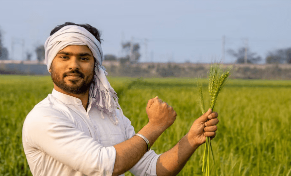 किसान क्रेडिट कार्ड पर मिलेगा 5 लाख रुपये तक का लोन, जानिए कितनी देनी होती है ब्याज दर किसान क्रेडिट कार्ड पर मिलेगा 5 लाख रुपये तक का लोन, जानिए कितनी देनी होती है ब्याज दर