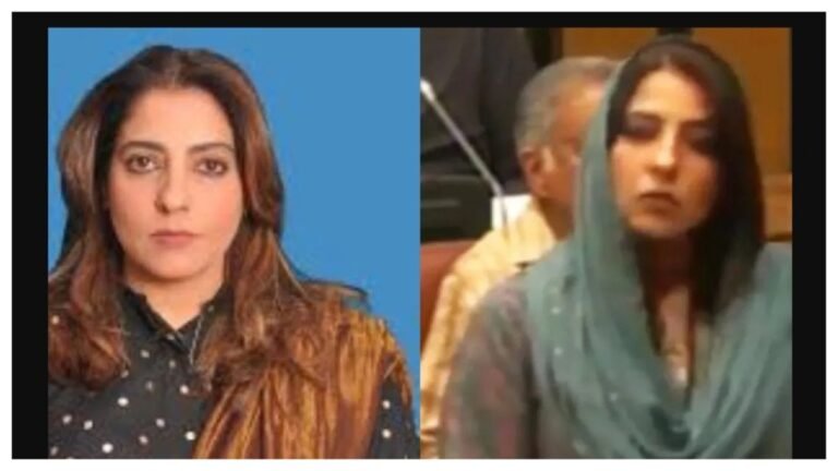 पाकिस्तानी सीनेटर पलवाशा मोहम्मद जय खान ने ‘न्यू बाबरी मस्जिद’ की टिप्पणी के साथ कहा | यहाँ उसने क्या कहा पाकिस्तानी सीनेटर पलवाशा मोहम्मद जय खान ने ‘न्यू बाबरी मस्जिद’ की टिप्पणी के साथ कहा | यहाँ उसने क्या कहा