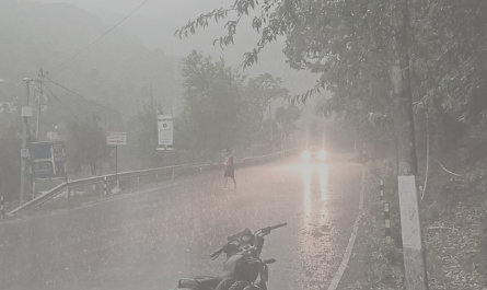 हिमाचल में चंबा में फटा बादल, नाले में बहने से बुजुर्ग की मौत; 150 भेड़-बकरियां भी बह गईं हिमाचल में चंबा में फटा बादल, नाले में बहने से बुजुर्ग की मौत; 150 भेड़-बकरियां भी बह गईं